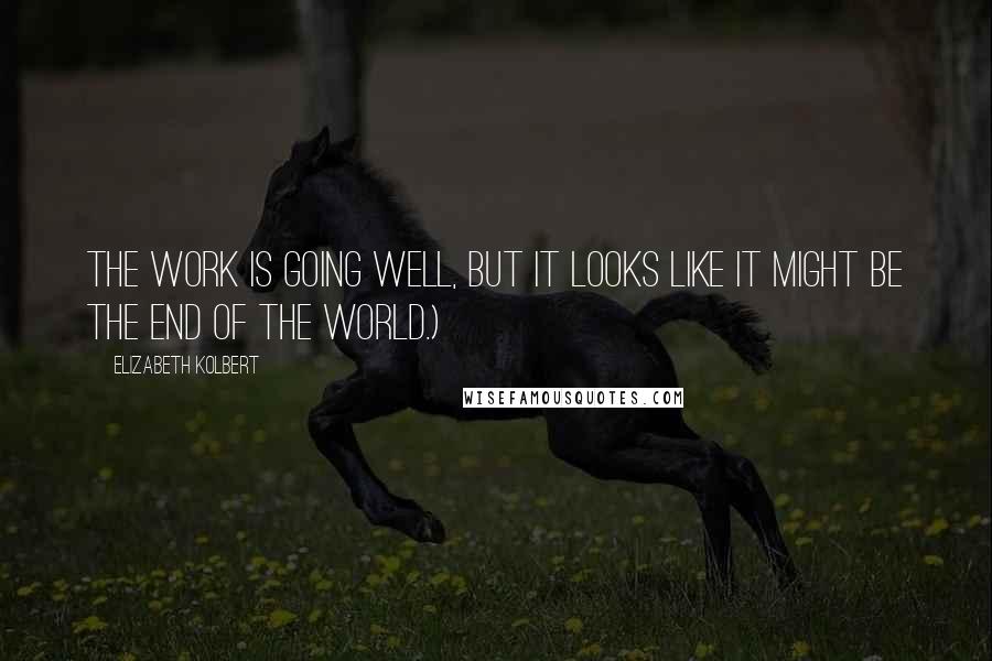 Elizabeth Kolbert Quotes: The work is going well, but it looks like it might be the end of the world.)