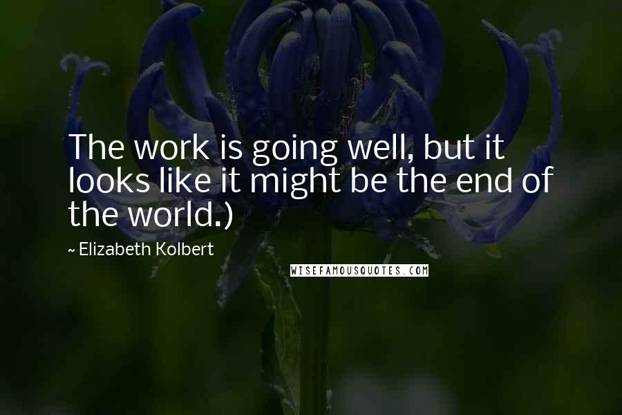 Elizabeth Kolbert Quotes: The work is going well, but it looks like it might be the end of the world.)