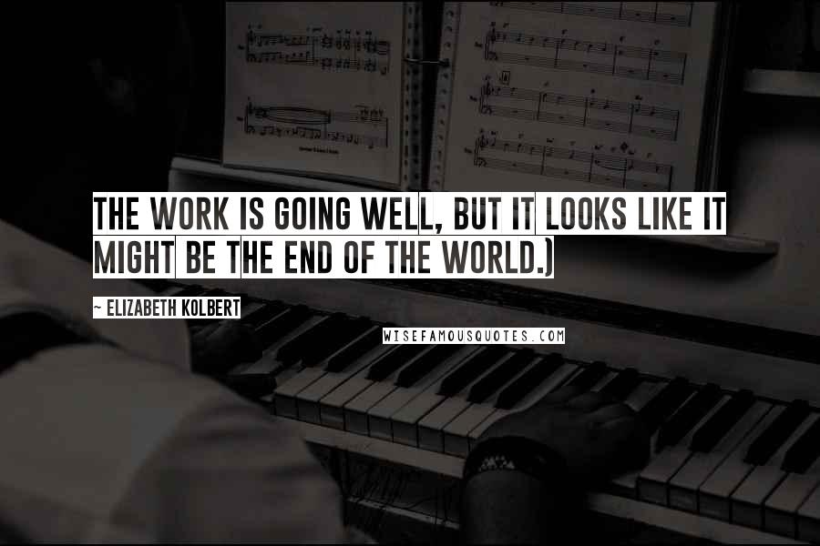 Elizabeth Kolbert Quotes: The work is going well, but it looks like it might be the end of the world.)