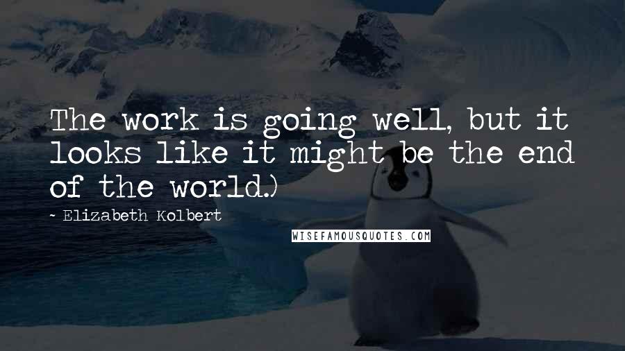 Elizabeth Kolbert Quotes: The work is going well, but it looks like it might be the end of the world.)
