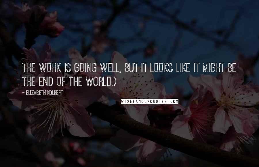 Elizabeth Kolbert Quotes: The work is going well, but it looks like it might be the end of the world.)