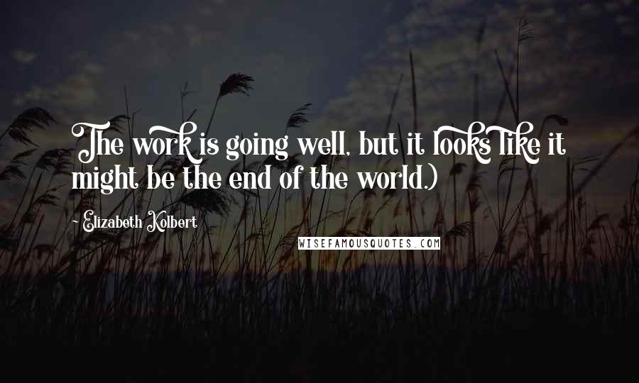 Elizabeth Kolbert Quotes: The work is going well, but it looks like it might be the end of the world.)