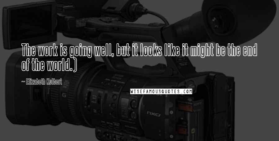 Elizabeth Kolbert Quotes: The work is going well, but it looks like it might be the end of the world.)
