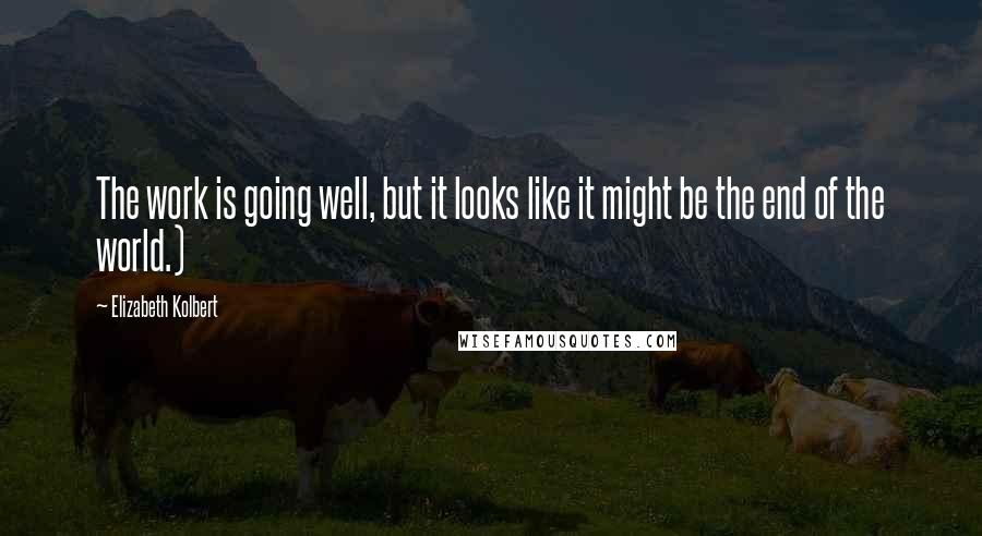 Elizabeth Kolbert Quotes: The work is going well, but it looks like it might be the end of the world.)
