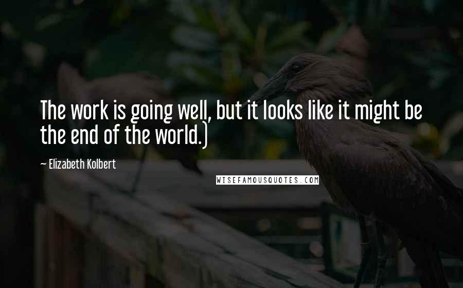 Elizabeth Kolbert Quotes: The work is going well, but it looks like it might be the end of the world.)
