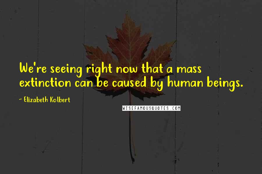 Elizabeth Kolbert Quotes: We're seeing right now that a mass extinction can be caused by human beings.