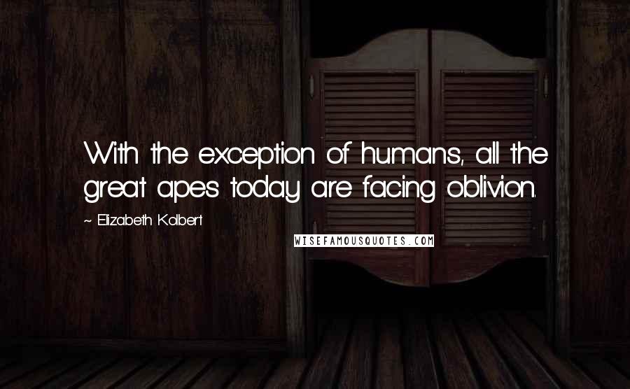 Elizabeth Kolbert Quotes: With the exception of humans, all the great apes today are facing oblivion.