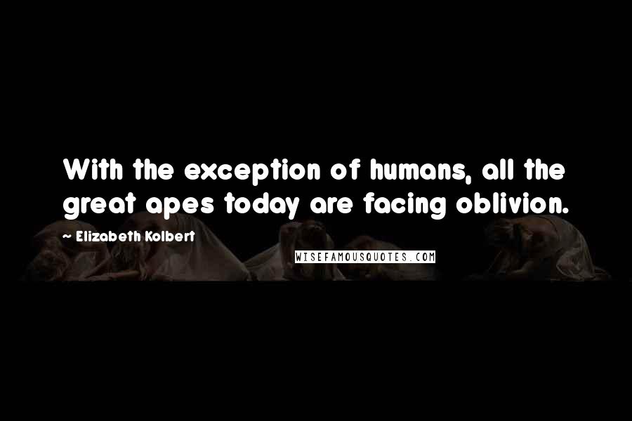 Elizabeth Kolbert Quotes: With the exception of humans, all the great apes today are facing oblivion.