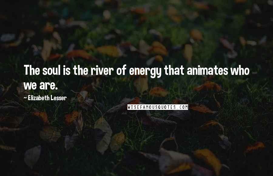 Elizabeth Lesser Quotes: The soul is the river of energy that animates who we are.