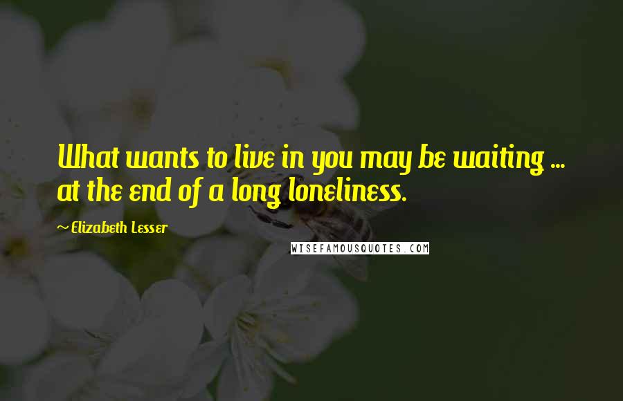 Elizabeth Lesser Quotes: What wants to live in you may be waiting ... at the end of a long loneliness.