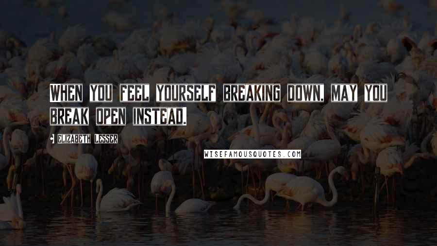 Elizabeth Lesser Quotes: When you feel yourself breaking down, may you break open instead.