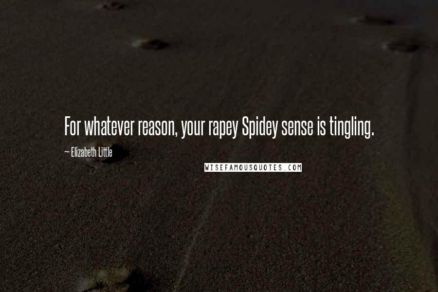 Elizabeth Little Quotes: For whatever reason, your rapey Spidey sense is tingling.