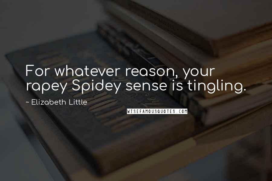 Elizabeth Little Quotes: For whatever reason, your rapey Spidey sense is tingling.