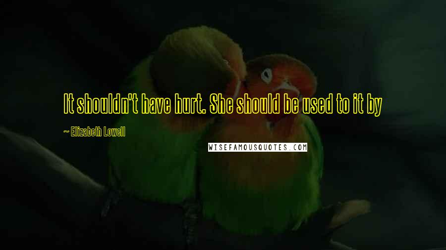 Elizabeth Lowell Quotes: It shouldn't have hurt. She should be used to it by