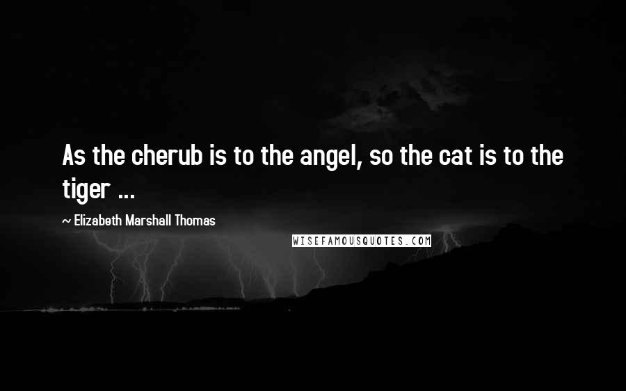 Elizabeth Marshall Thomas Quotes: As the cherub is to the angel, so the cat is to the tiger ...