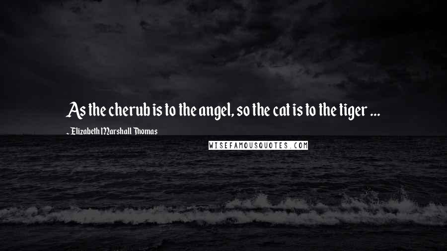 Elizabeth Marshall Thomas Quotes: As the cherub is to the angel, so the cat is to the tiger ...