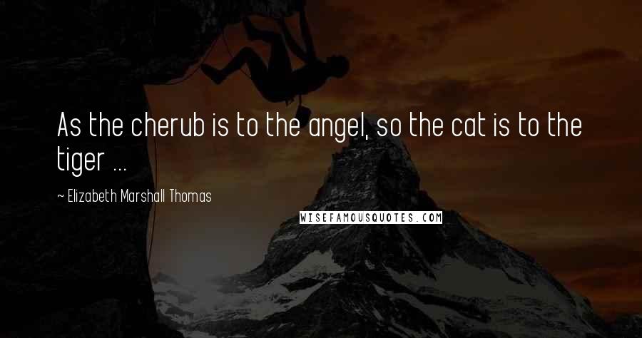 Elizabeth Marshall Thomas Quotes: As the cherub is to the angel, so the cat is to the tiger ...