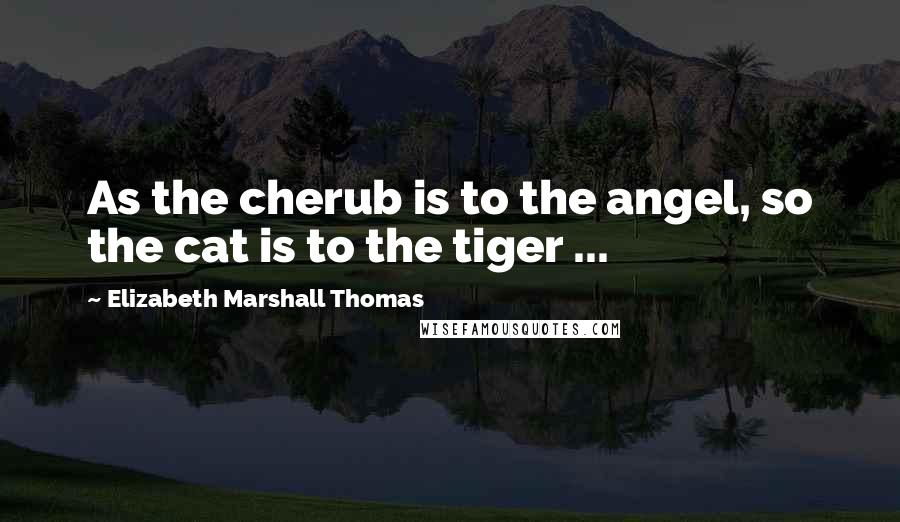 Elizabeth Marshall Thomas Quotes: As the cherub is to the angel, so the cat is to the tiger ...