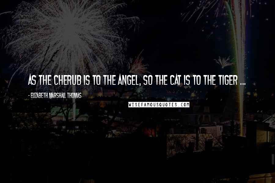 Elizabeth Marshall Thomas Quotes: As the cherub is to the angel, so the cat is to the tiger ...