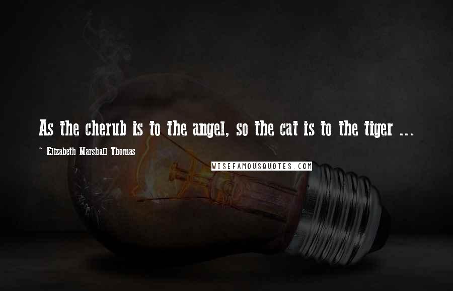 Elizabeth Marshall Thomas Quotes: As the cherub is to the angel, so the cat is to the tiger ...