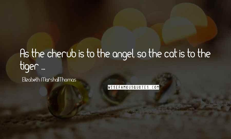 Elizabeth Marshall Thomas Quotes: As the cherub is to the angel, so the cat is to the tiger ...