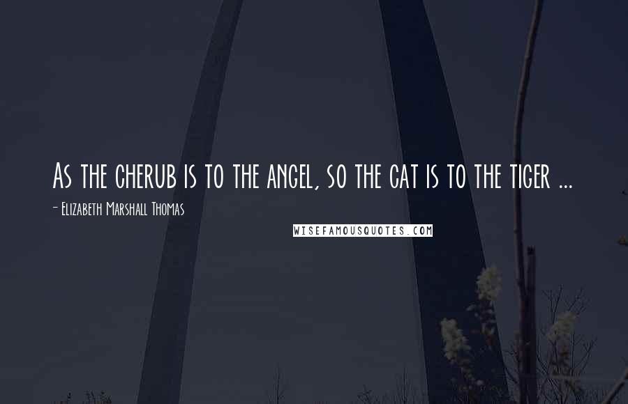 Elizabeth Marshall Thomas Quotes: As the cherub is to the angel, so the cat is to the tiger ...