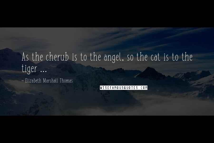 Elizabeth Marshall Thomas Quotes: As the cherub is to the angel, so the cat is to the tiger ...