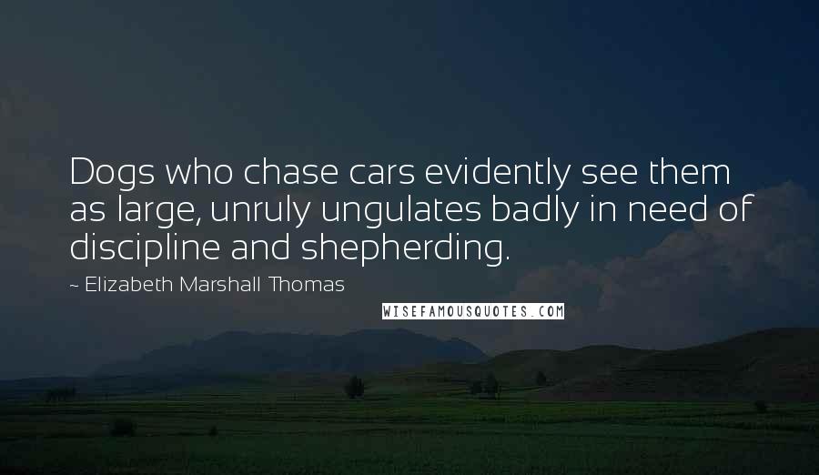 Elizabeth Marshall Thomas Quotes: Dogs who chase cars evidently see them as large, unruly ungulates badly in need of discipline and shepherding.