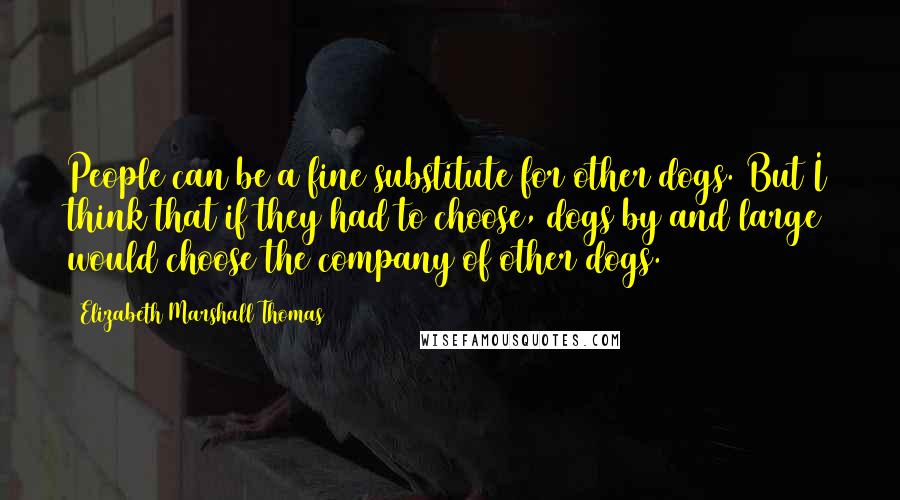 Elizabeth Marshall Thomas Quotes: People can be a fine substitute for other dogs. But I think that if they had to choose, dogs by and large would choose the company of other dogs.