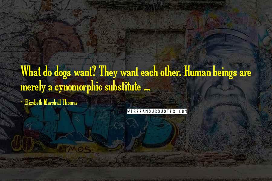 Elizabeth Marshall Thomas Quotes: What do dogs want? They want each other. Human beings are merely a cynomorphic substitute ...
