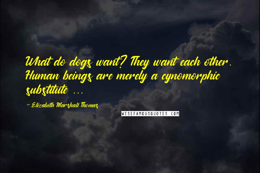 Elizabeth Marshall Thomas Quotes: What do dogs want? They want each other. Human beings are merely a cynomorphic substitute ...