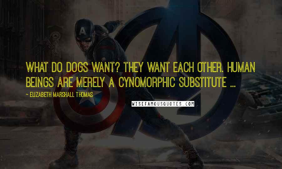 Elizabeth Marshall Thomas Quotes: What do dogs want? They want each other. Human beings are merely a cynomorphic substitute ...