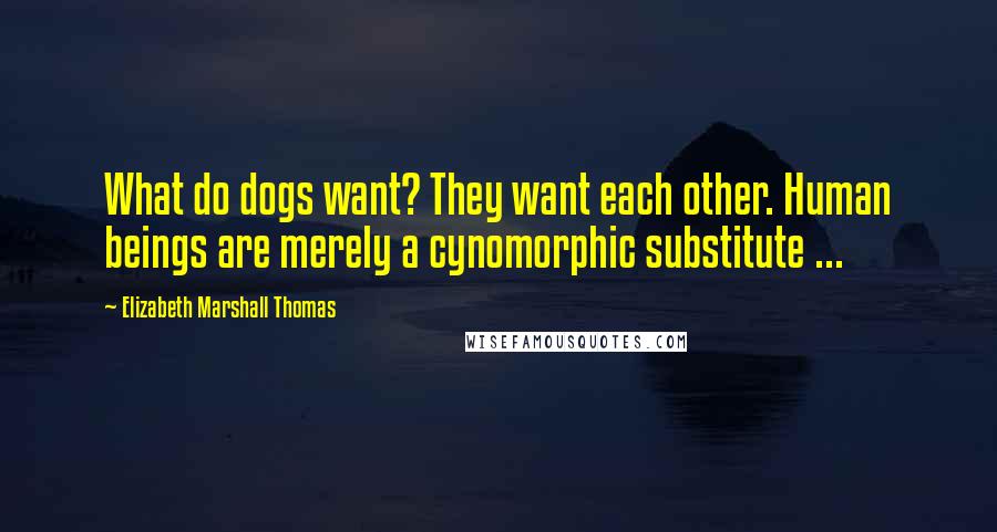 Elizabeth Marshall Thomas Quotes: What do dogs want? They want each other. Human beings are merely a cynomorphic substitute ...