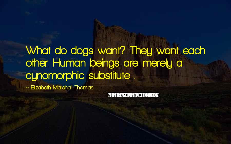 Elizabeth Marshall Thomas Quotes: What do dogs want? They want each other. Human beings are merely a cynomorphic substitute ...