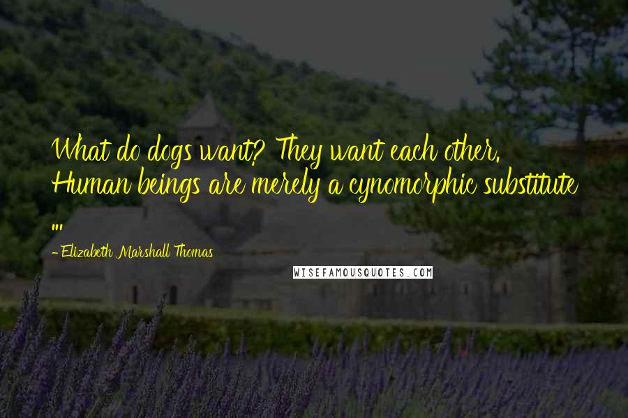 Elizabeth Marshall Thomas Quotes: What do dogs want? They want each other. Human beings are merely a cynomorphic substitute ...