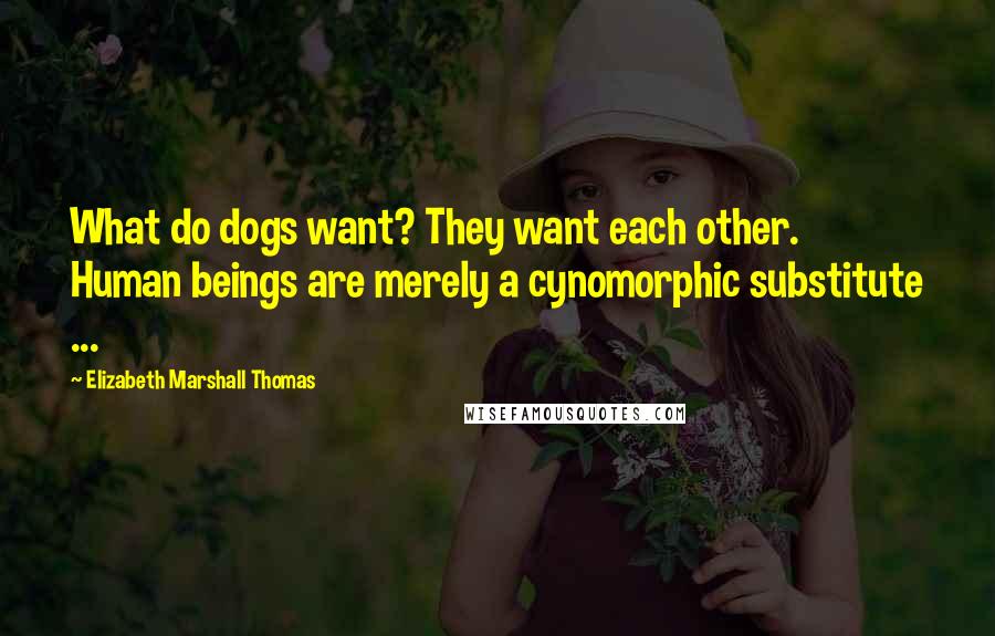 Elizabeth Marshall Thomas Quotes: What do dogs want? They want each other. Human beings are merely a cynomorphic substitute ...