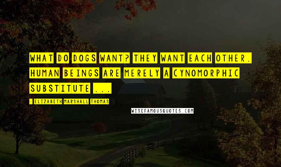 Elizabeth Marshall Thomas Quotes: What do dogs want? They want each other. Human beings are merely a cynomorphic substitute ...