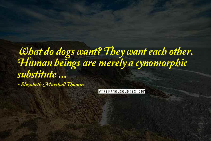 Elizabeth Marshall Thomas Quotes: What do dogs want? They want each other. Human beings are merely a cynomorphic substitute ...