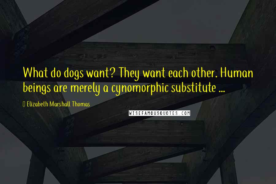Elizabeth Marshall Thomas Quotes: What do dogs want? They want each other. Human beings are merely a cynomorphic substitute ...
