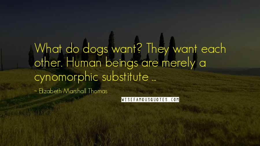 Elizabeth Marshall Thomas Quotes: What do dogs want? They want each other. Human beings are merely a cynomorphic substitute ...