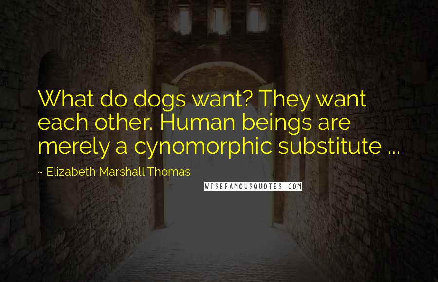Elizabeth Marshall Thomas Quotes: What do dogs want? They want each other. Human beings are merely a cynomorphic substitute ...