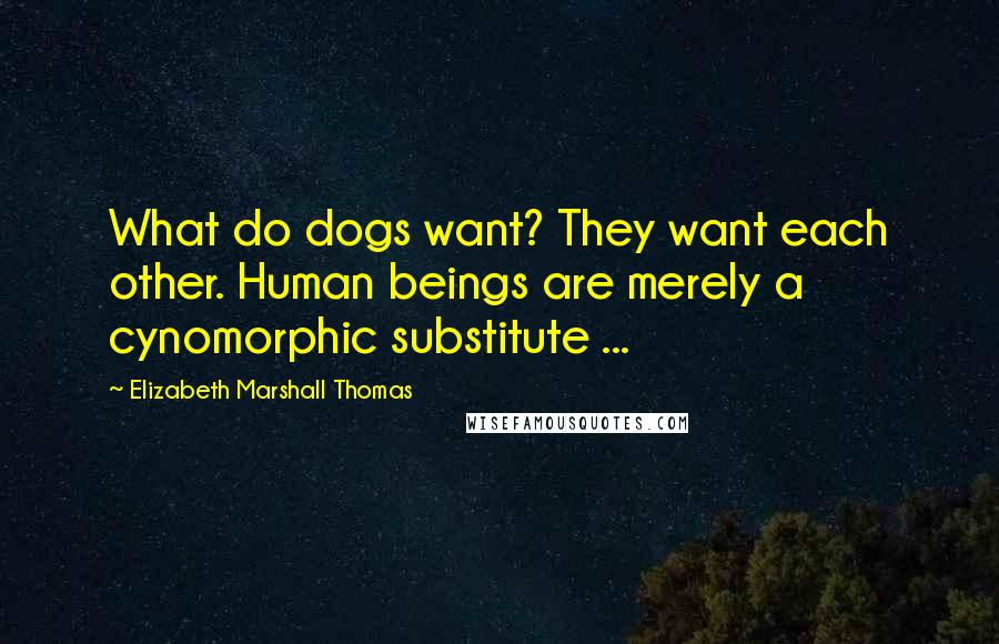 Elizabeth Marshall Thomas Quotes: What do dogs want? They want each other. Human beings are merely a cynomorphic substitute ...