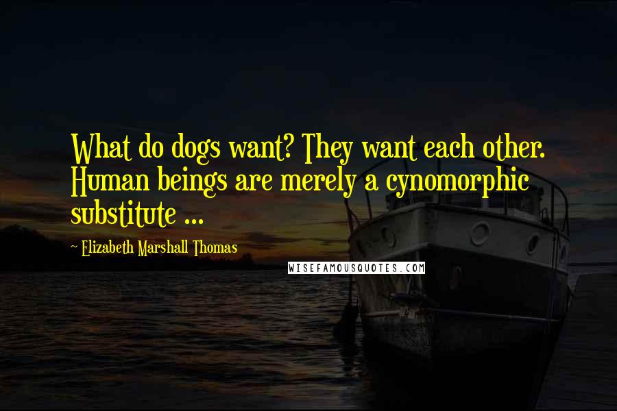 Elizabeth Marshall Thomas Quotes: What do dogs want? They want each other. Human beings are merely a cynomorphic substitute ...