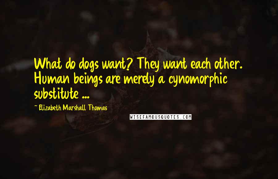 Elizabeth Marshall Thomas Quotes: What do dogs want? They want each other. Human beings are merely a cynomorphic substitute ...