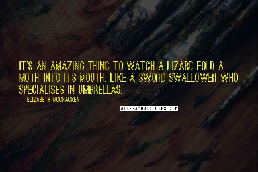 Elizabeth McCracken Quotes: It's an amazing thing to watch a lizard fold a moth into its mouth, like a sword swallower who specialises in umbrellas.