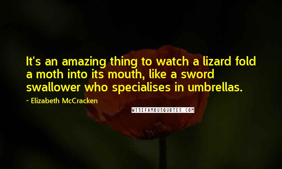Elizabeth McCracken Quotes: It's an amazing thing to watch a lizard fold a moth into its mouth, like a sword swallower who specialises in umbrellas.