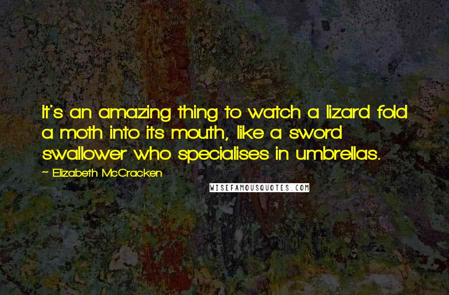 Elizabeth McCracken Quotes: It's an amazing thing to watch a lizard fold a moth into its mouth, like a sword swallower who specialises in umbrellas.
