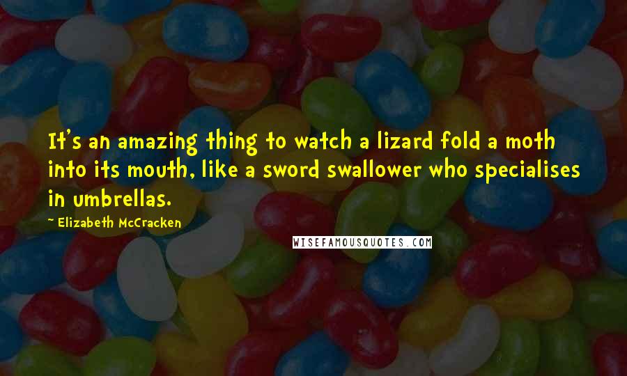 Elizabeth McCracken Quotes: It's an amazing thing to watch a lizard fold a moth into its mouth, like a sword swallower who specialises in umbrellas.