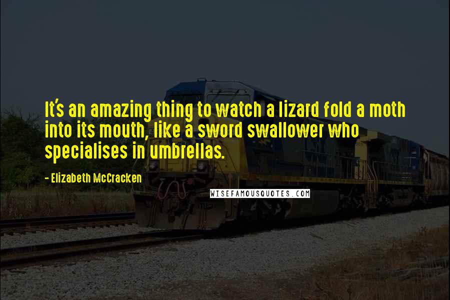 Elizabeth McCracken Quotes: It's an amazing thing to watch a lizard fold a moth into its mouth, like a sword swallower who specialises in umbrellas.