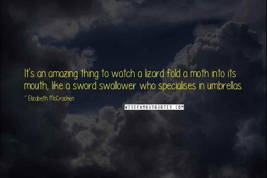 Elizabeth McCracken Quotes: It's an amazing thing to watch a lizard fold a moth into its mouth, like a sword swallower who specialises in umbrellas.
